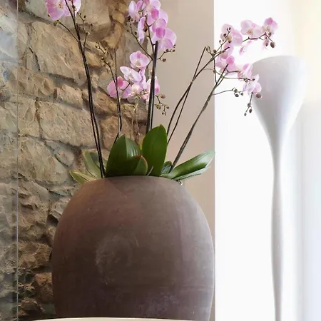 Sorell Ruetli Niederdorf 3*