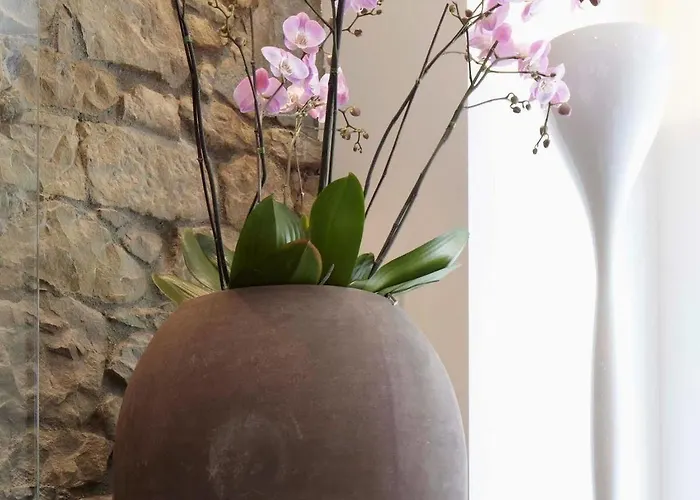 Sorell Ruetli Niederdorf 3*